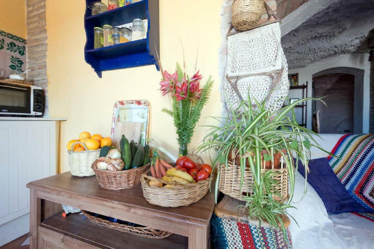 La Constanza Casa Cueva Holiday home *